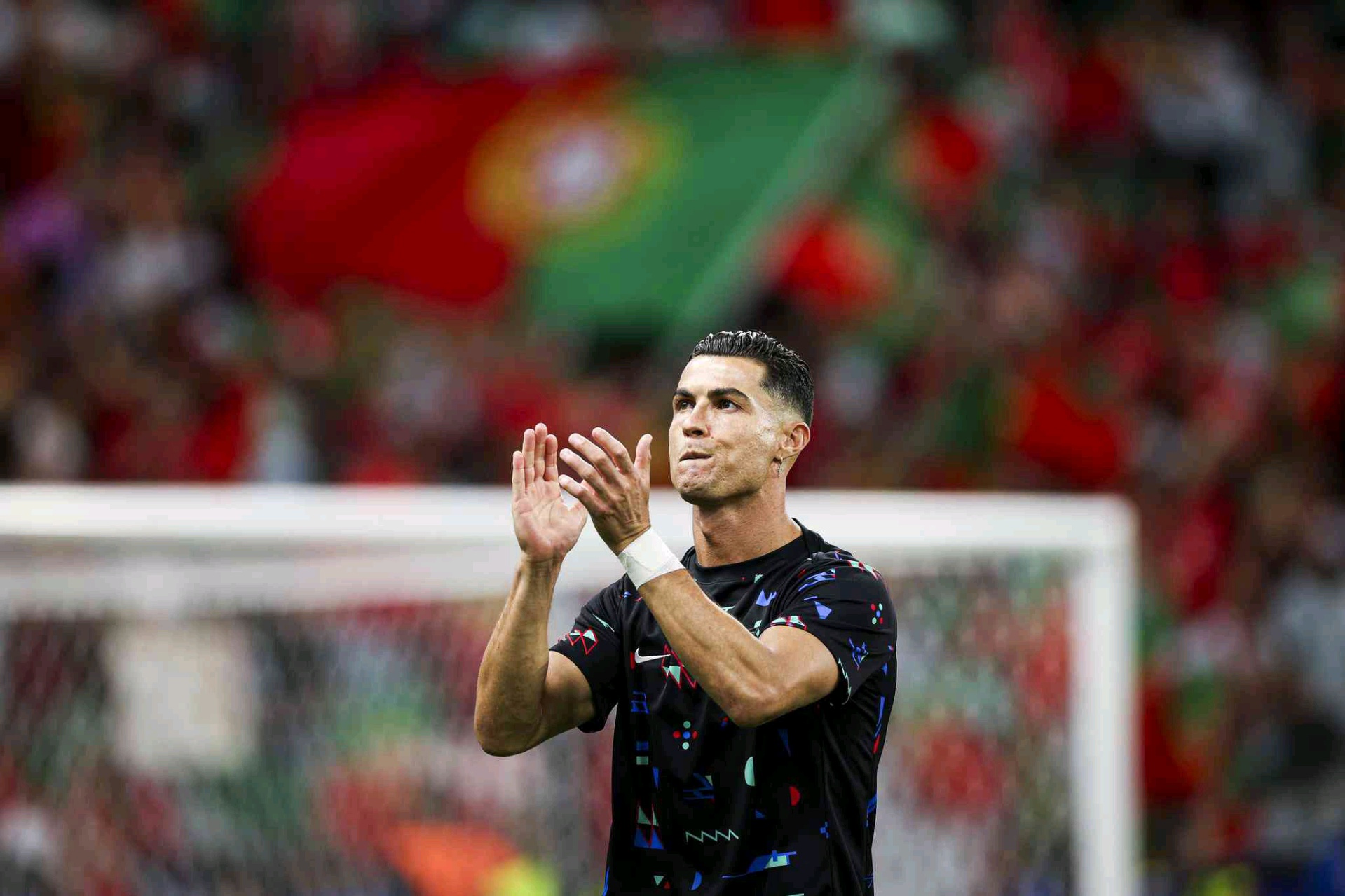 sentheya (cangchuter.lens) Lens social identity (.lens handle) PFP