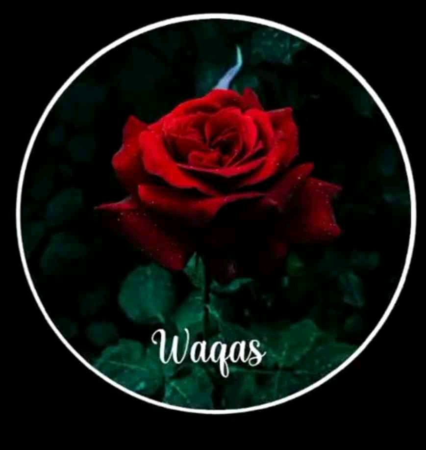 WaqasAli (waqasali043.lens) Lens social identity (.lens handle) PFP