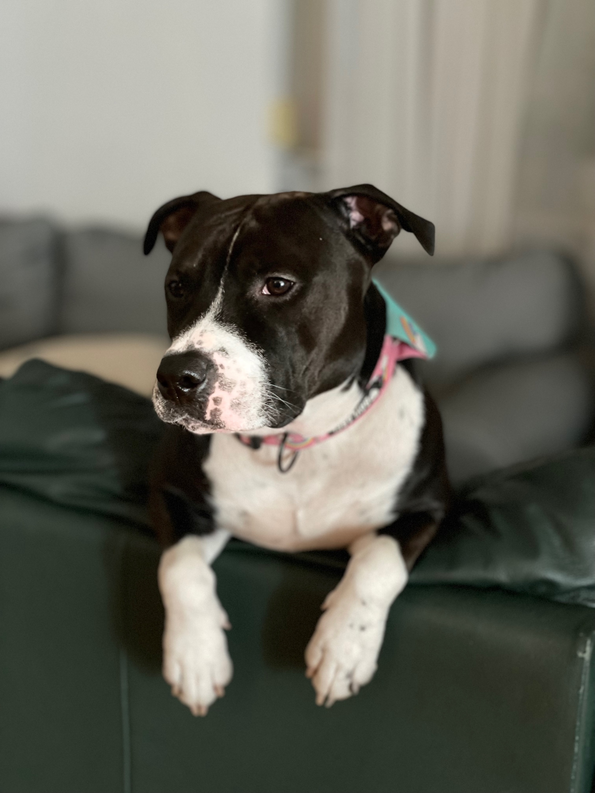 Maciej (korzonkiee.lens) Lens social identity (.lens handle) PFP