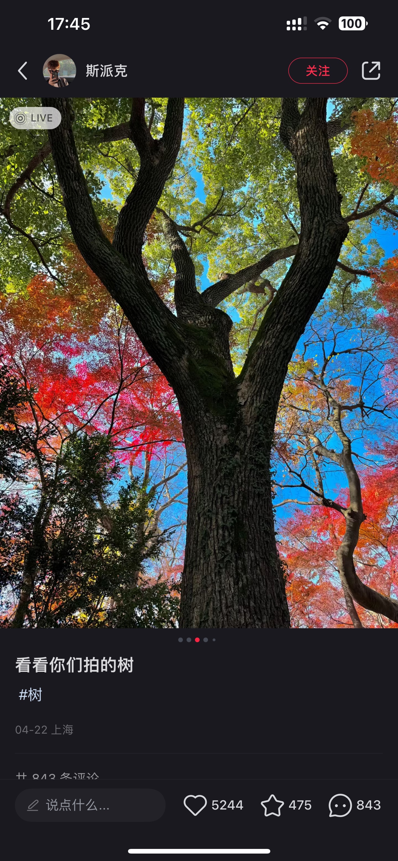 catalaya (catalaya.lens) Lens social identity (.lens handle) PFP