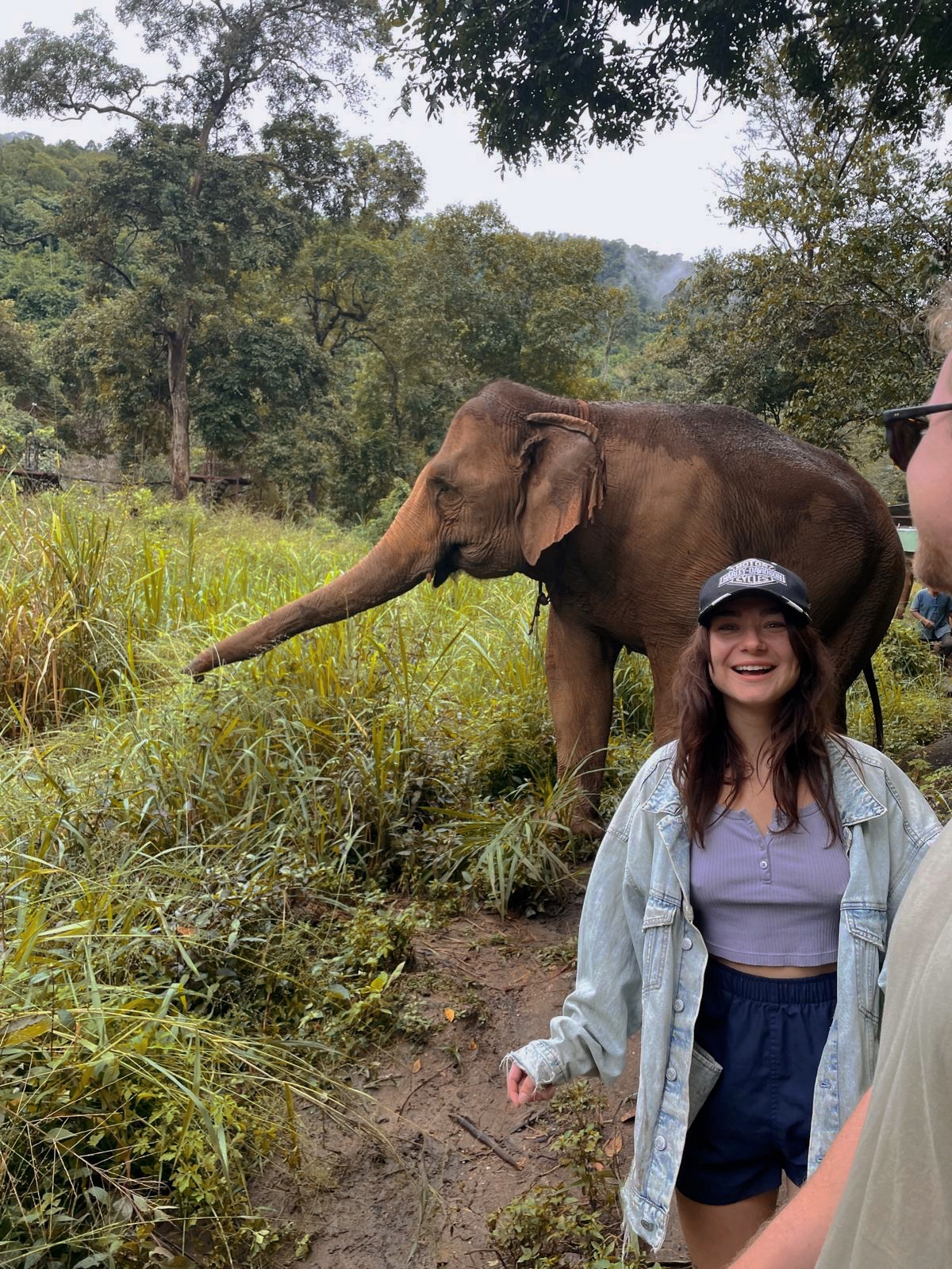 Lauren (laurenwymant.lens) Lens social identity (.lens handle) PFP