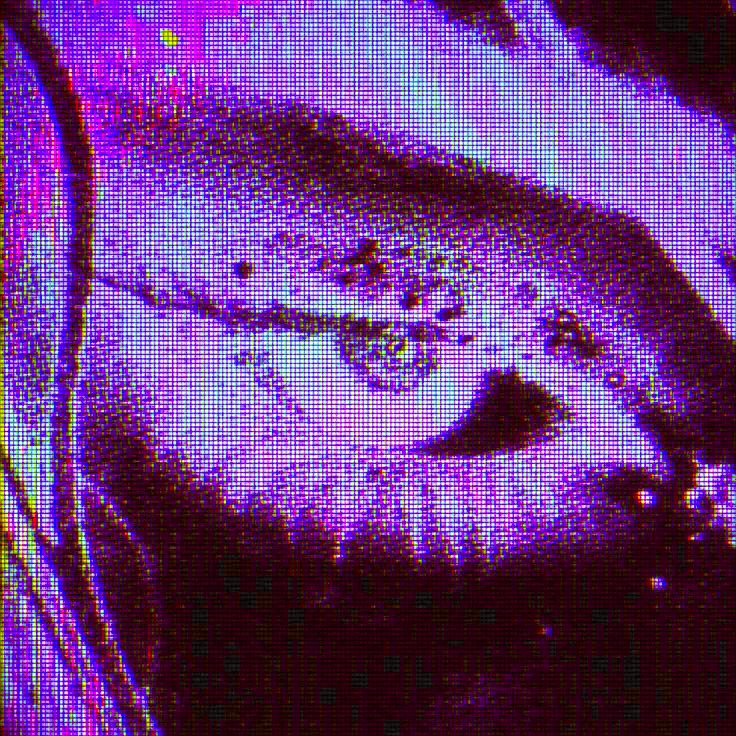 Iris Sage (kathlita.lens) Lens social identity (.lens handle) PFP