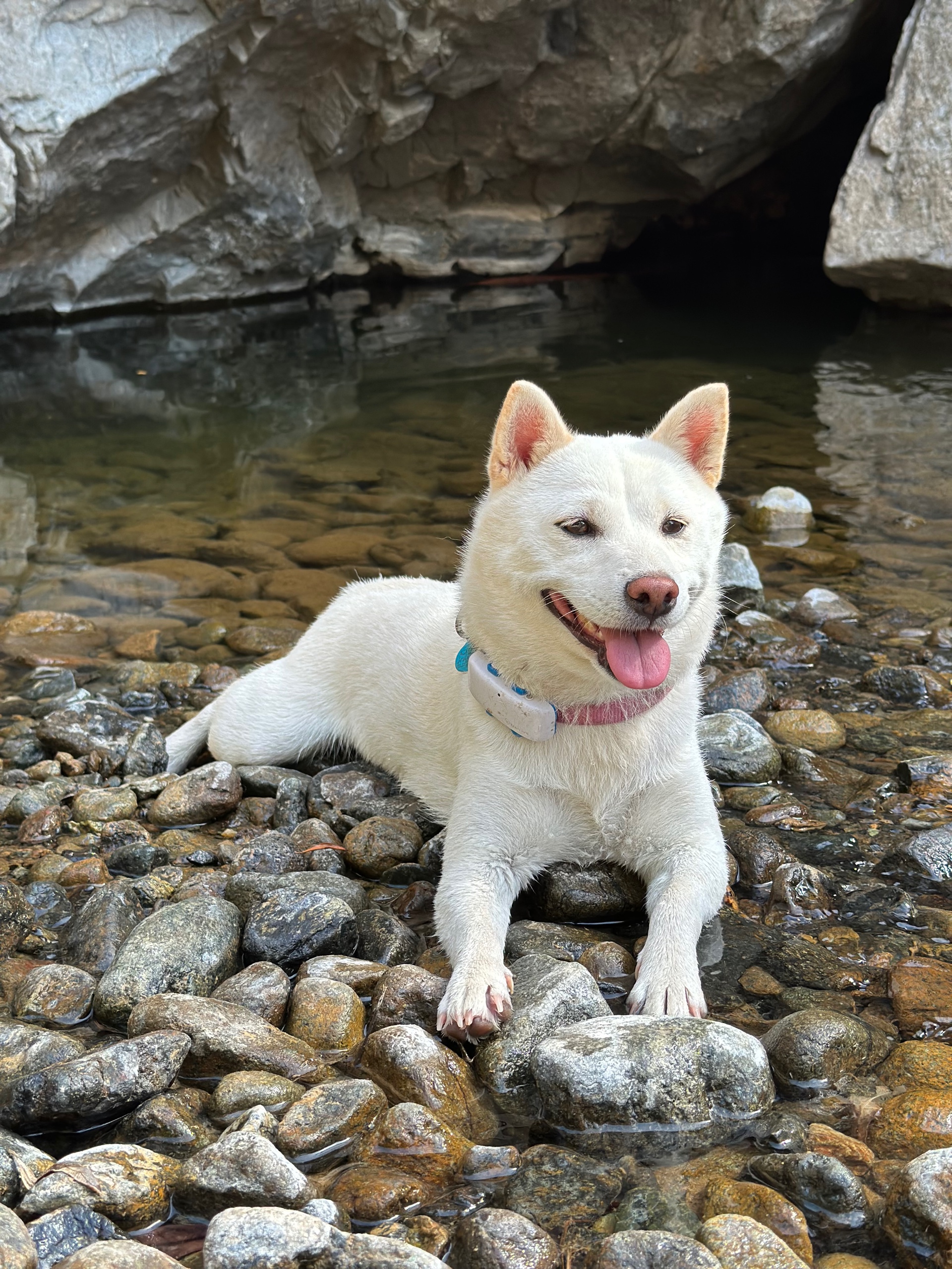 Killa (killa_.lens) Lens social identity (.lens handle) PFP