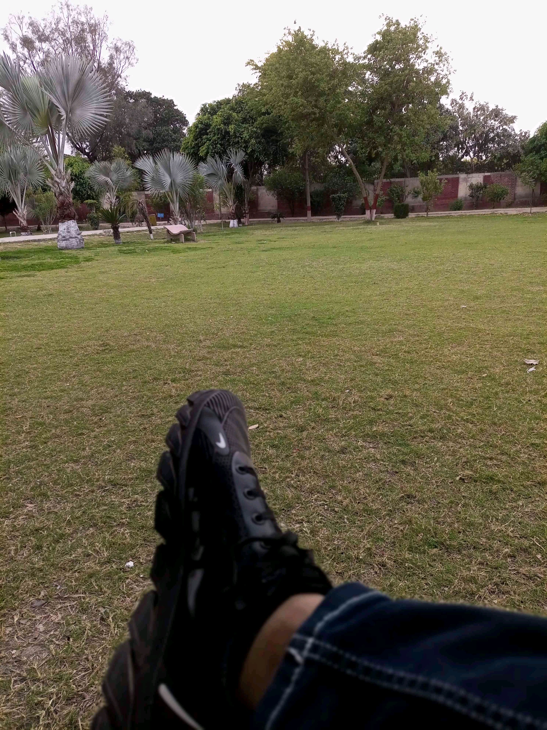 Zain Azeem (zain445.lens) Lens social identity (.lens handle) PFP