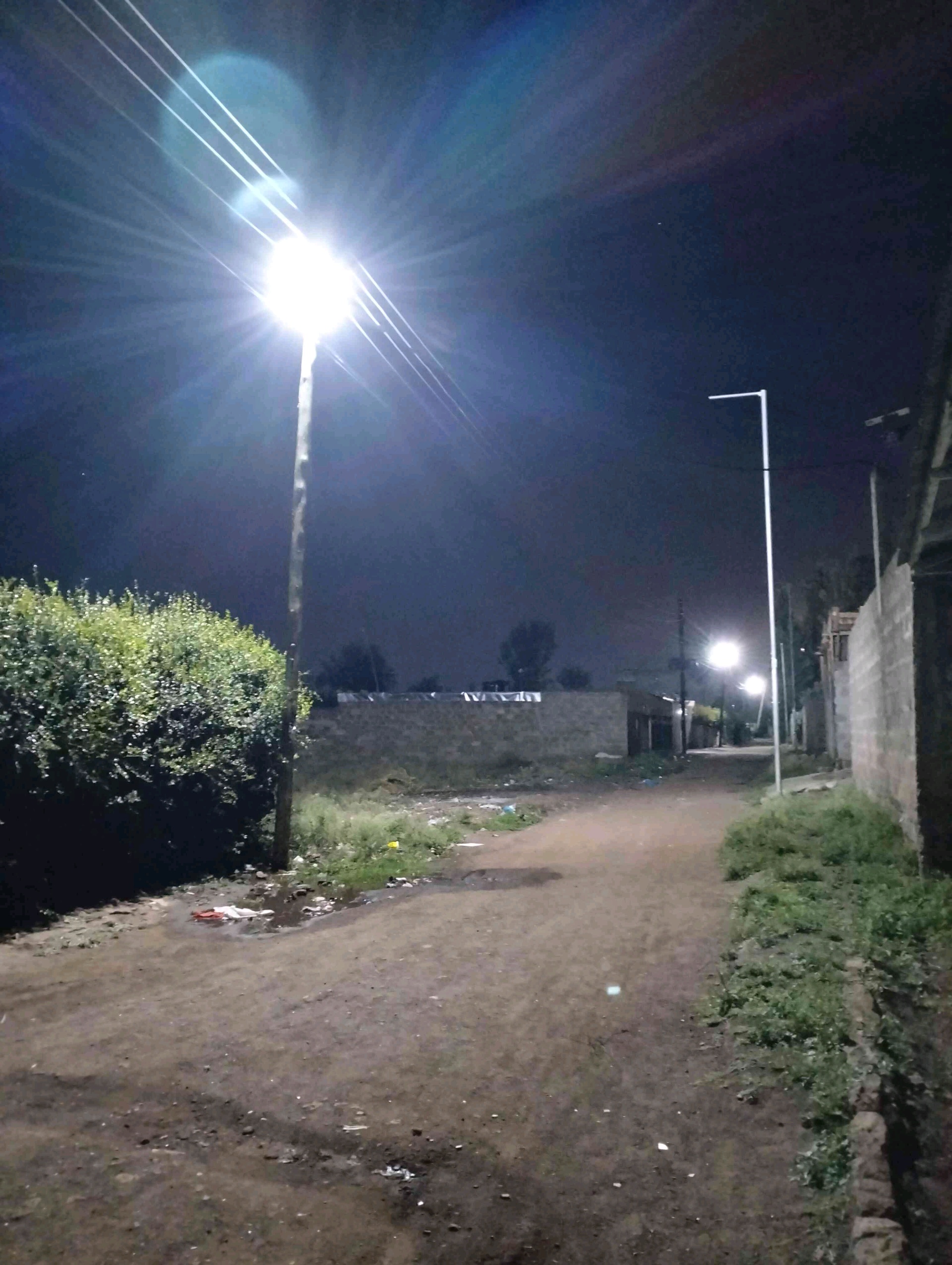 Ofurra (alara.lens) Lens social identity (.lens handle) PFP