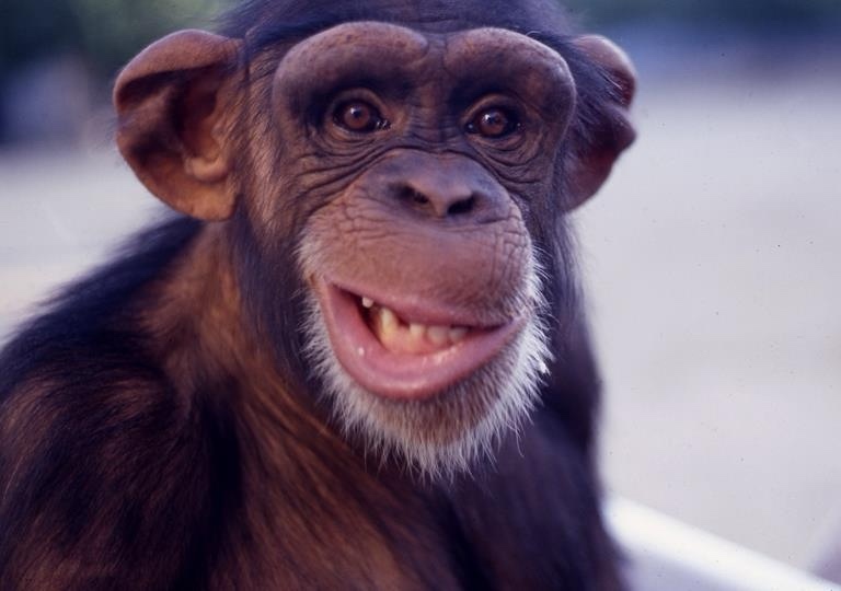 rudo.tel (rudotel.lens) Lens social identity (.lens handle) PFP