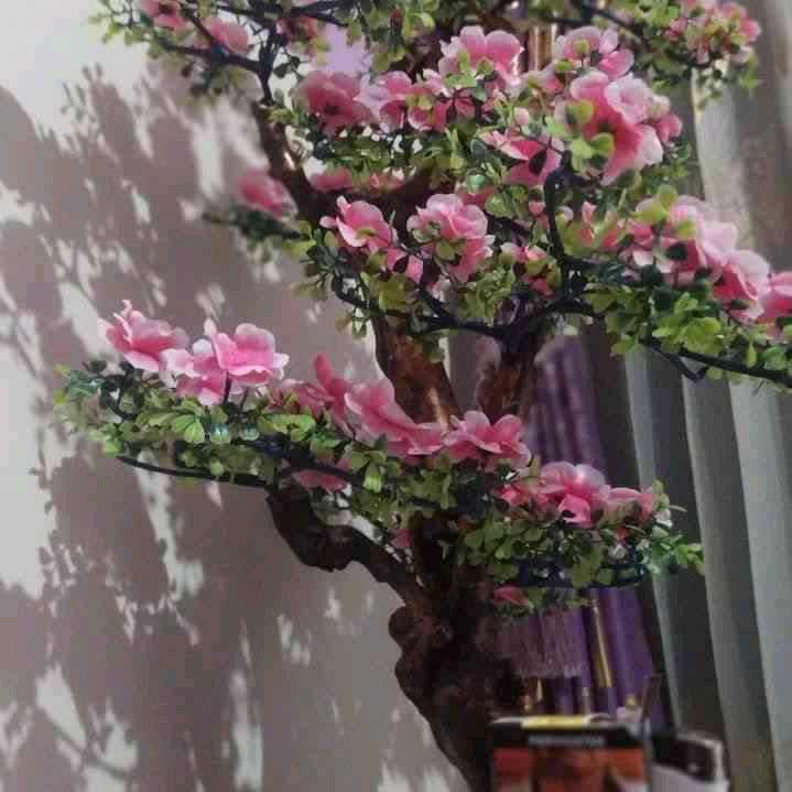 Somethings New (somethingsnew.lens) Lens social identity (.lens handle) PFP