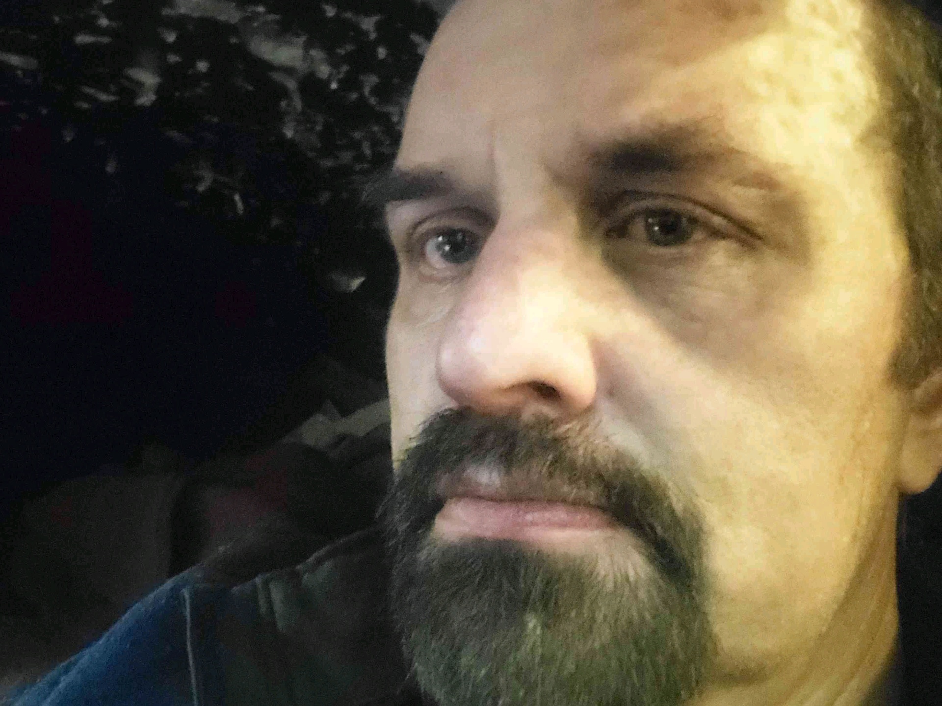 T WOLFF (thomaswolff.lens) Lens social identity (.lens handle) PFP