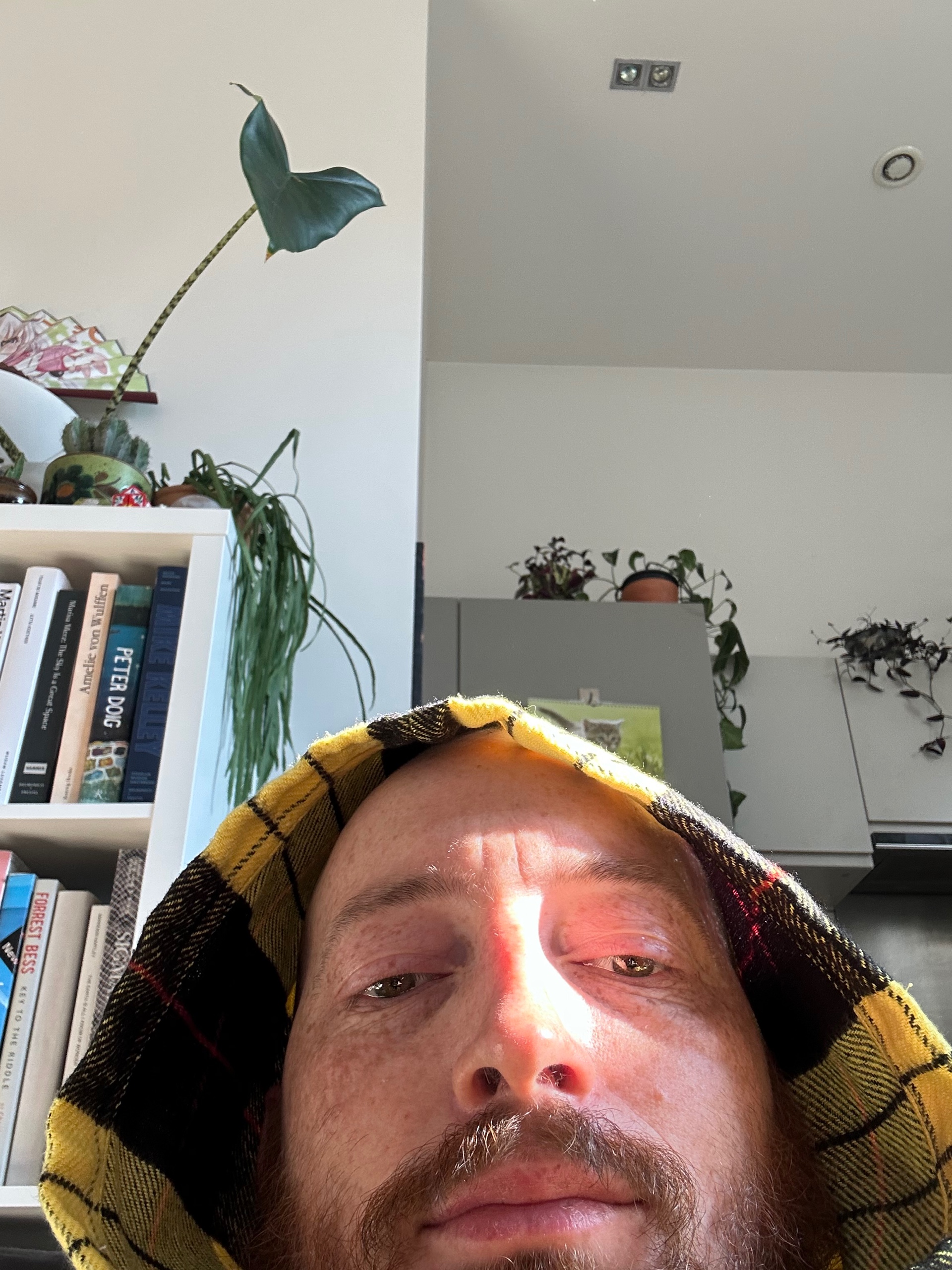 Billy (billycrosby.lens) Lens social identity (.lens handle) PFP