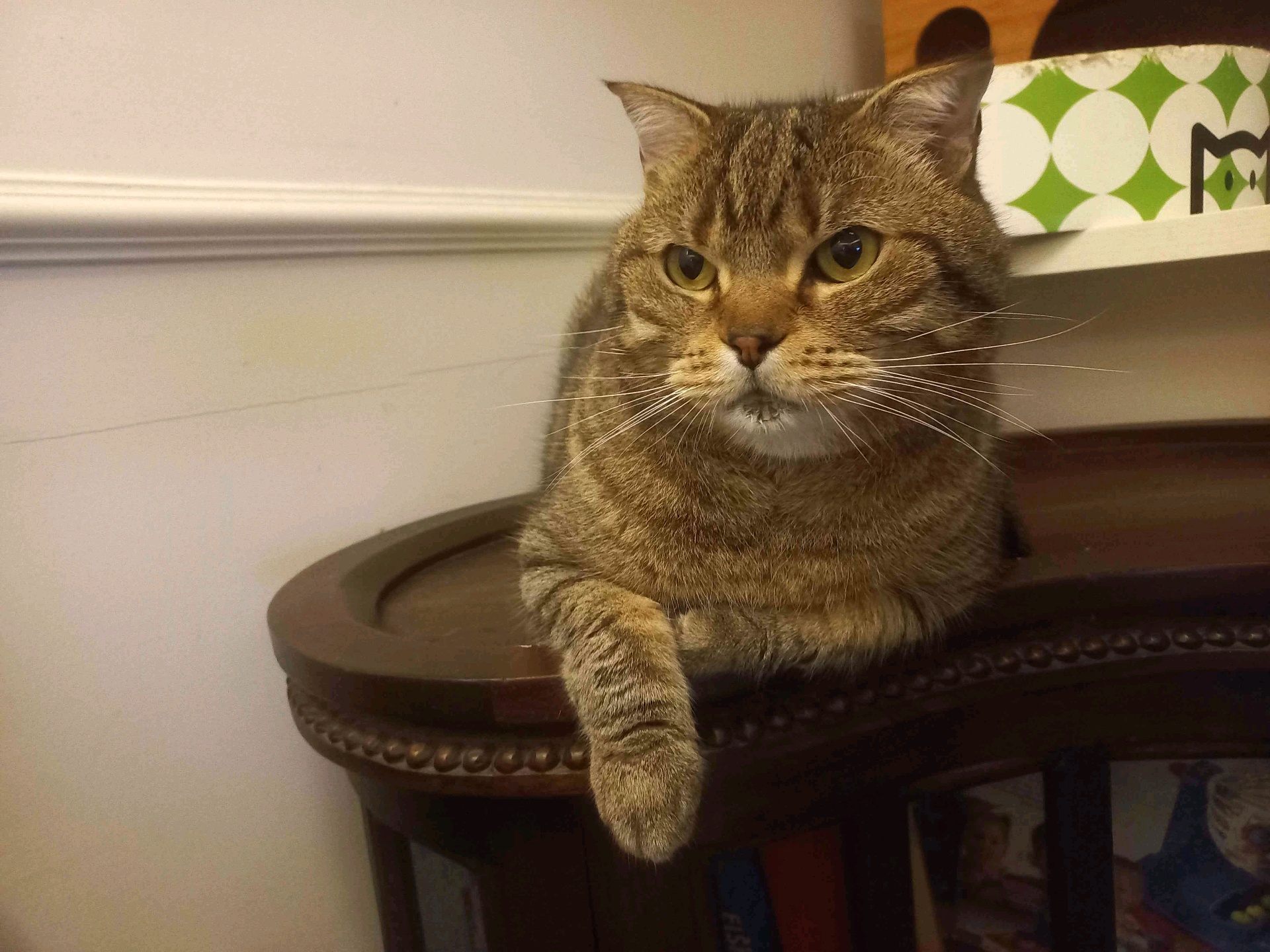 tsk (tienshaoku.lens) Lens social identity (.lens handle) PFP