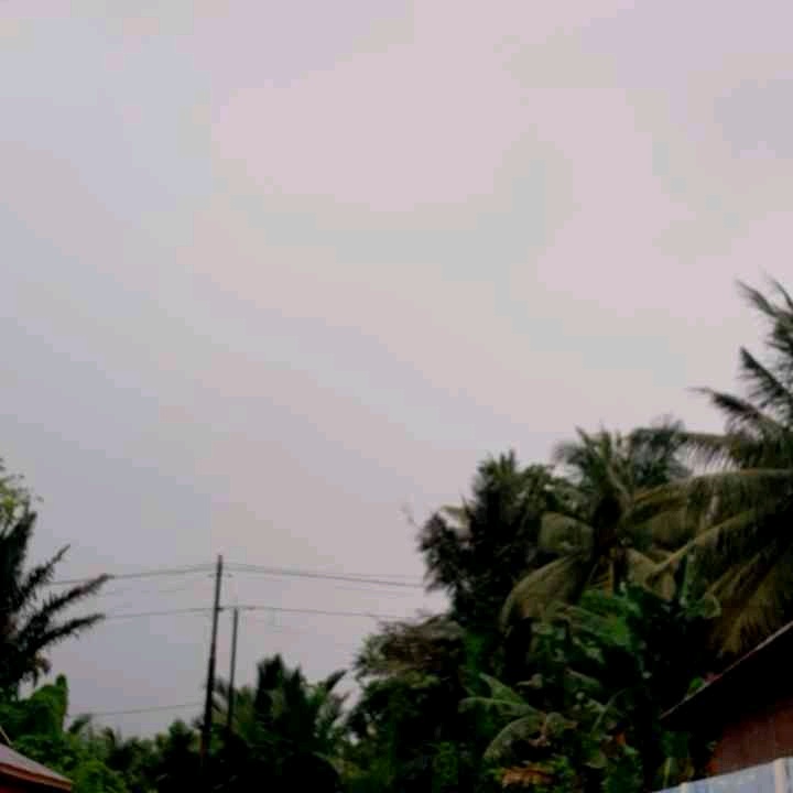 Ghosted (ghostedxp.lens) Lens social identity (.lens handle) PFP