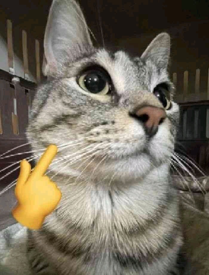 Herrr11 (herrr11.lens) Lens social identity (.lens handle) PFP