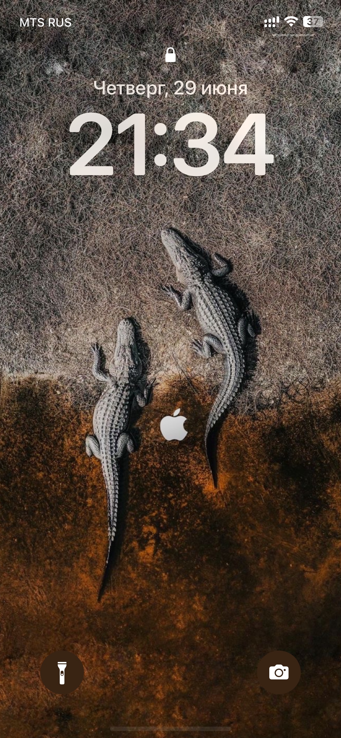 Delmi (delmi.lens) Lens social identity (.lens handle) PFP