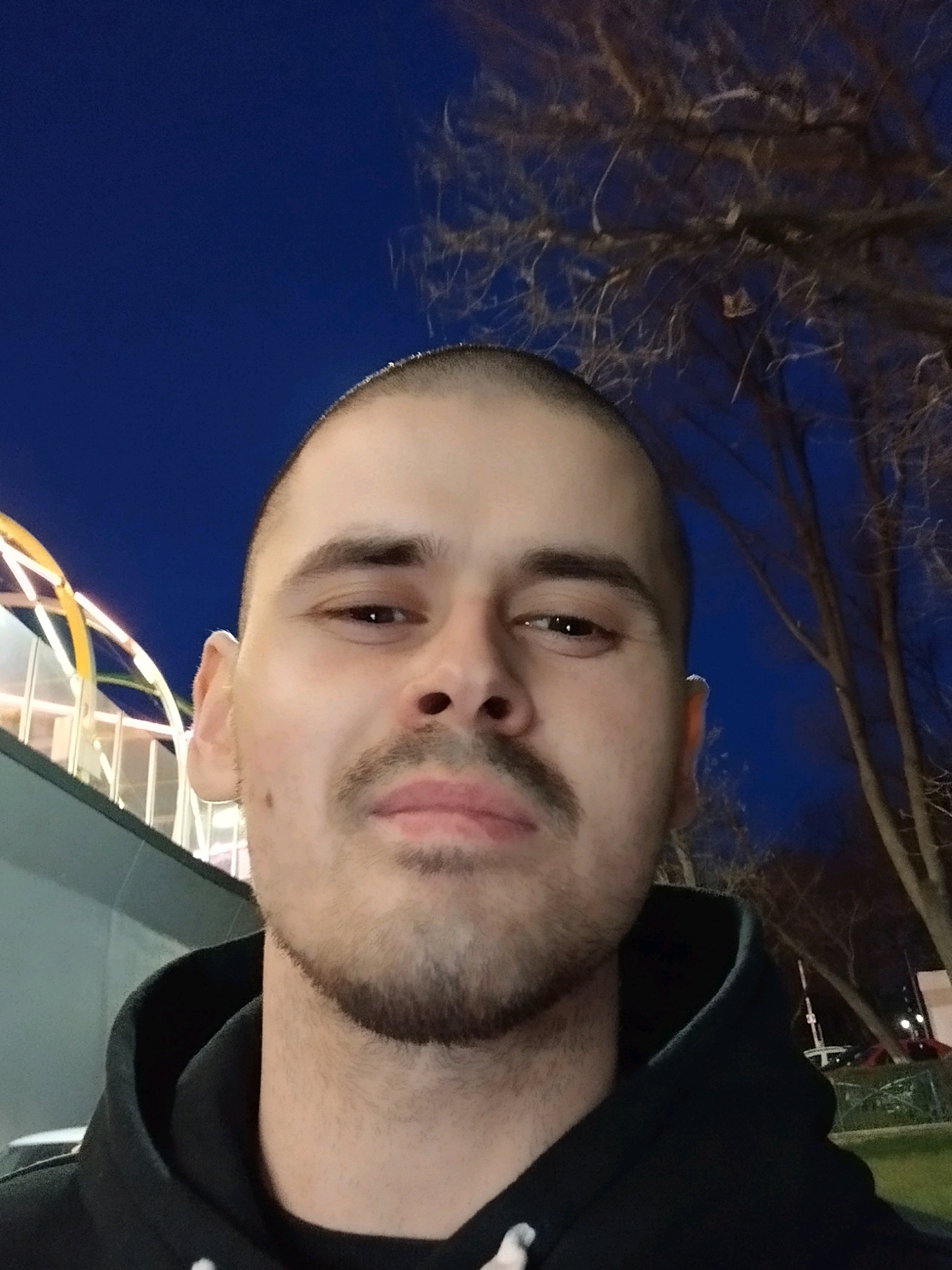 Daniel (blissfu.lens) Lens social identity (.lens handle) PFP