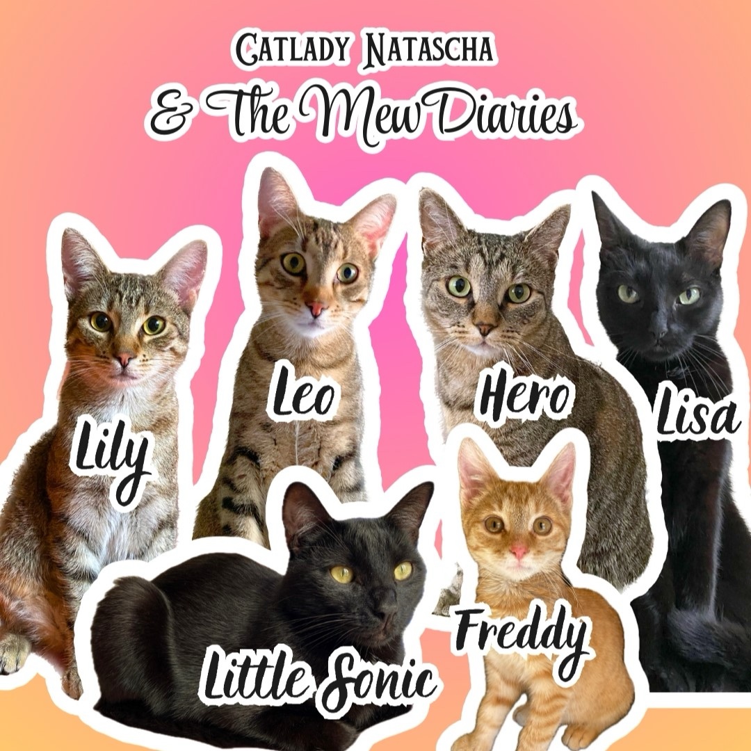 CatladyMew (catladymew.lens) Lens social identity (.lens handle) PFP