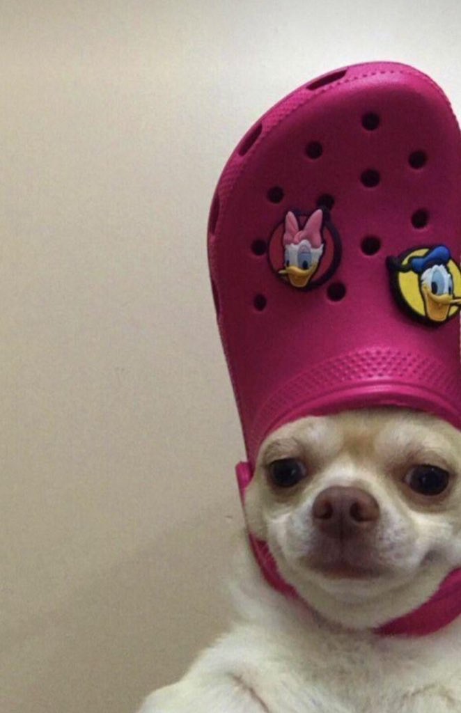 8thwonder (jashy.lens) Lens social identity (.lens handle) PFP