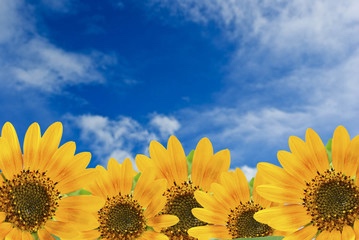 Sayings (sayings.lens) Lens social identity (.lens handle) PFP