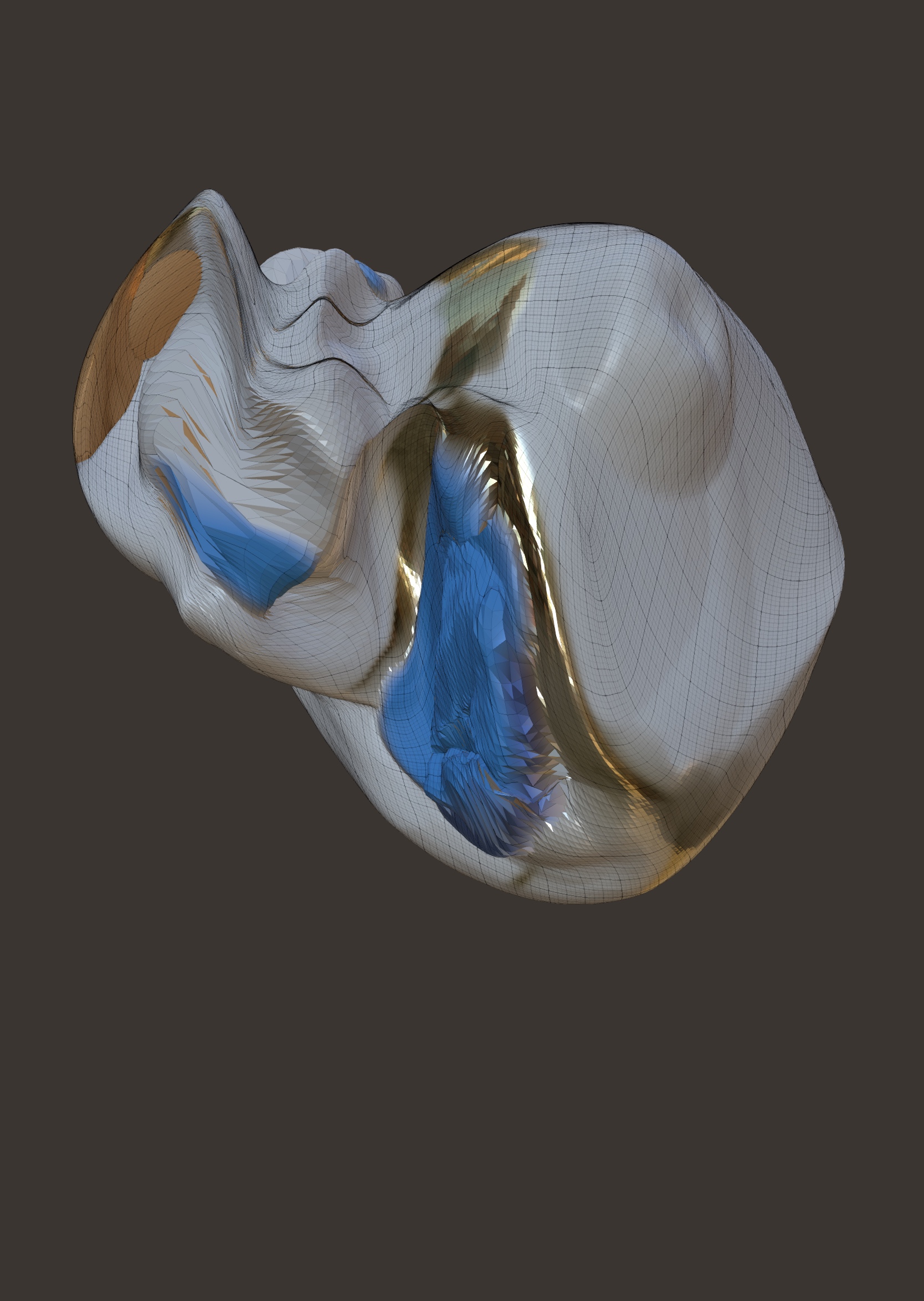 nauxeea (nauxeea.lens) Lens social identity (.lens handle) PFP