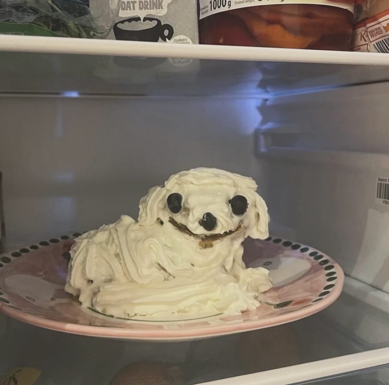 josh (cheesebunny.lens) Lens social identity (.lens handle) PFP