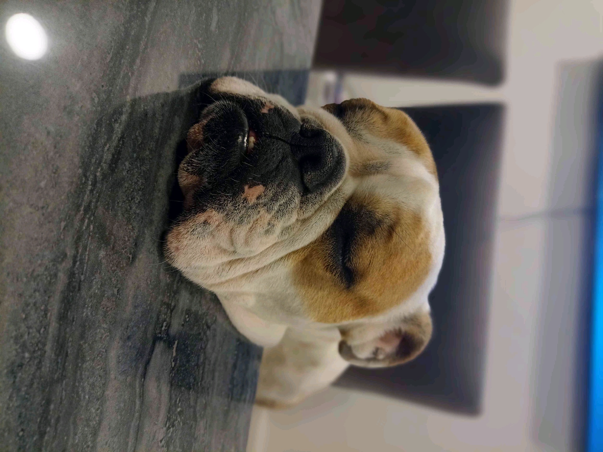 Gio (giobarco.lens) Lens social identity (.lens handle) PFP