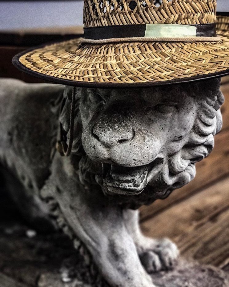 Sam Skynner (skynnes.lens) Lens social identity (.lens handle) PFP