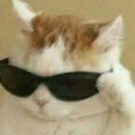 Peperocks (peperocks459.lens) Lens social identity (.lens handle) PFP