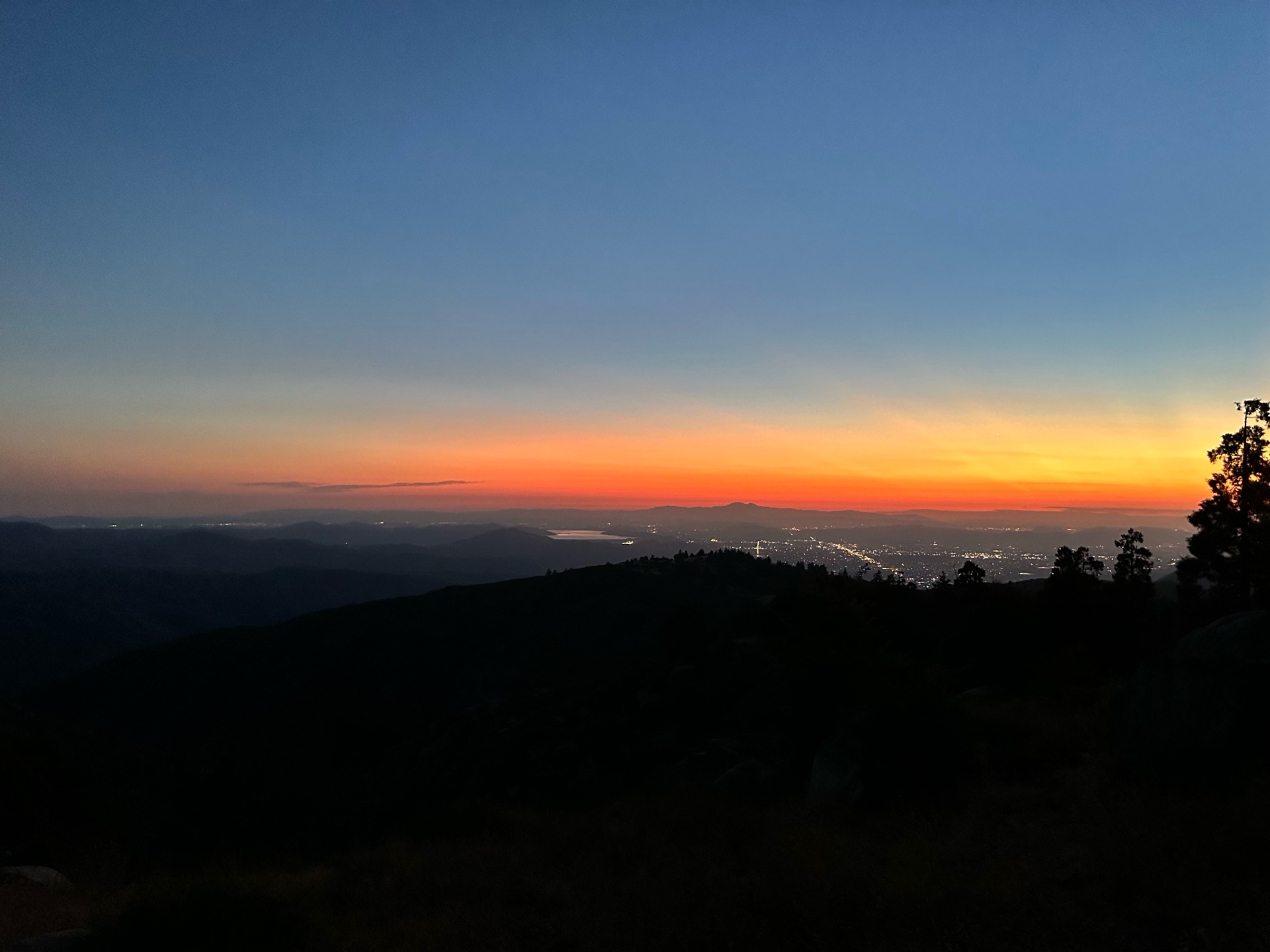 TWE (tripwithellen.lens) Lens social identity (.lens handle) PFP