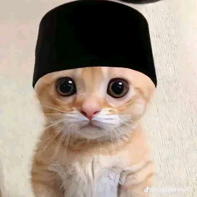 scane (scane.lens) Lens social identity (.lens handle) PFP