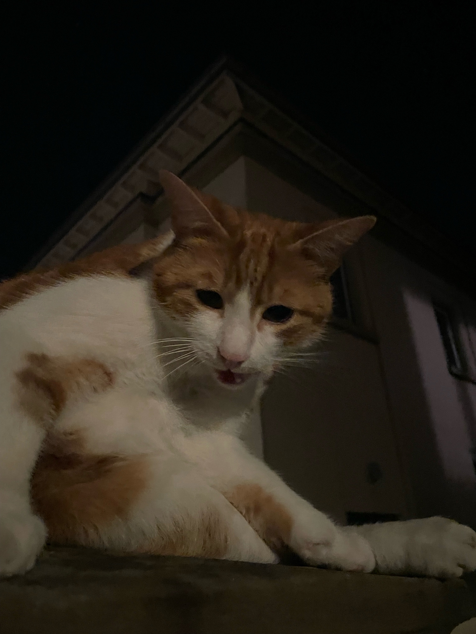 0xpatatedouce.lens Lens social identity (.lens handle) PFP