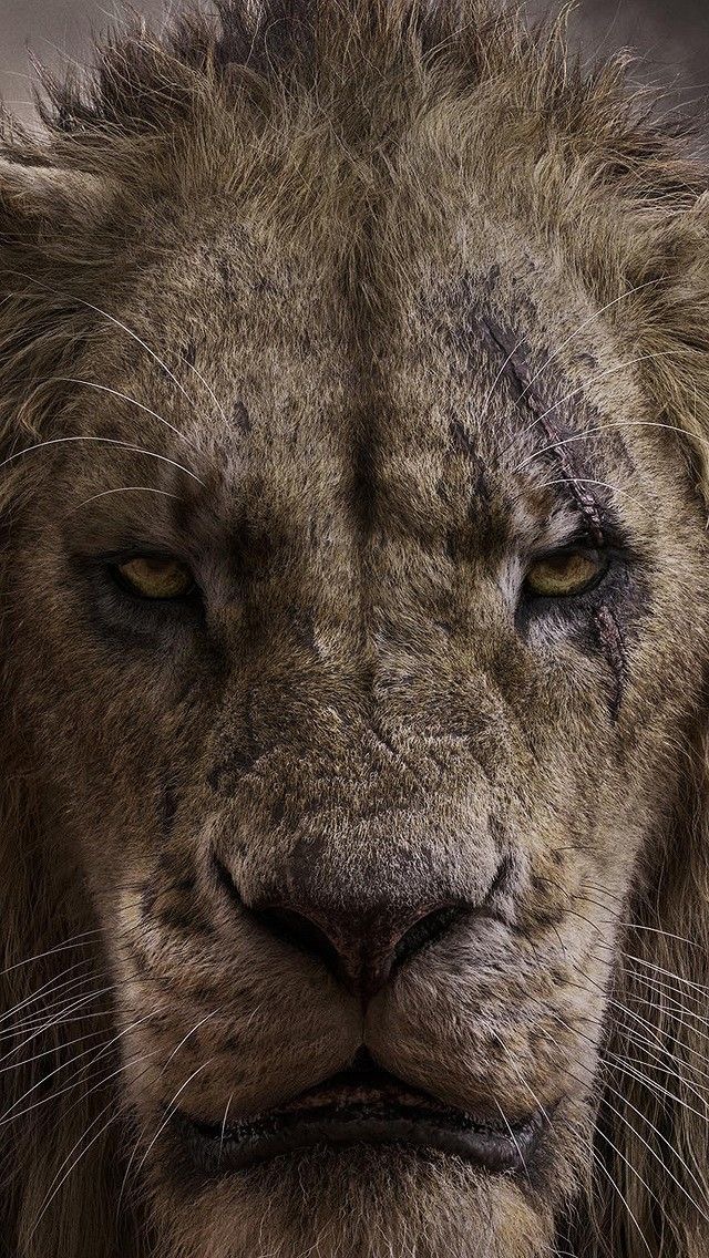 dearmama2706.lens Lens social identity (.lens handle) PFP