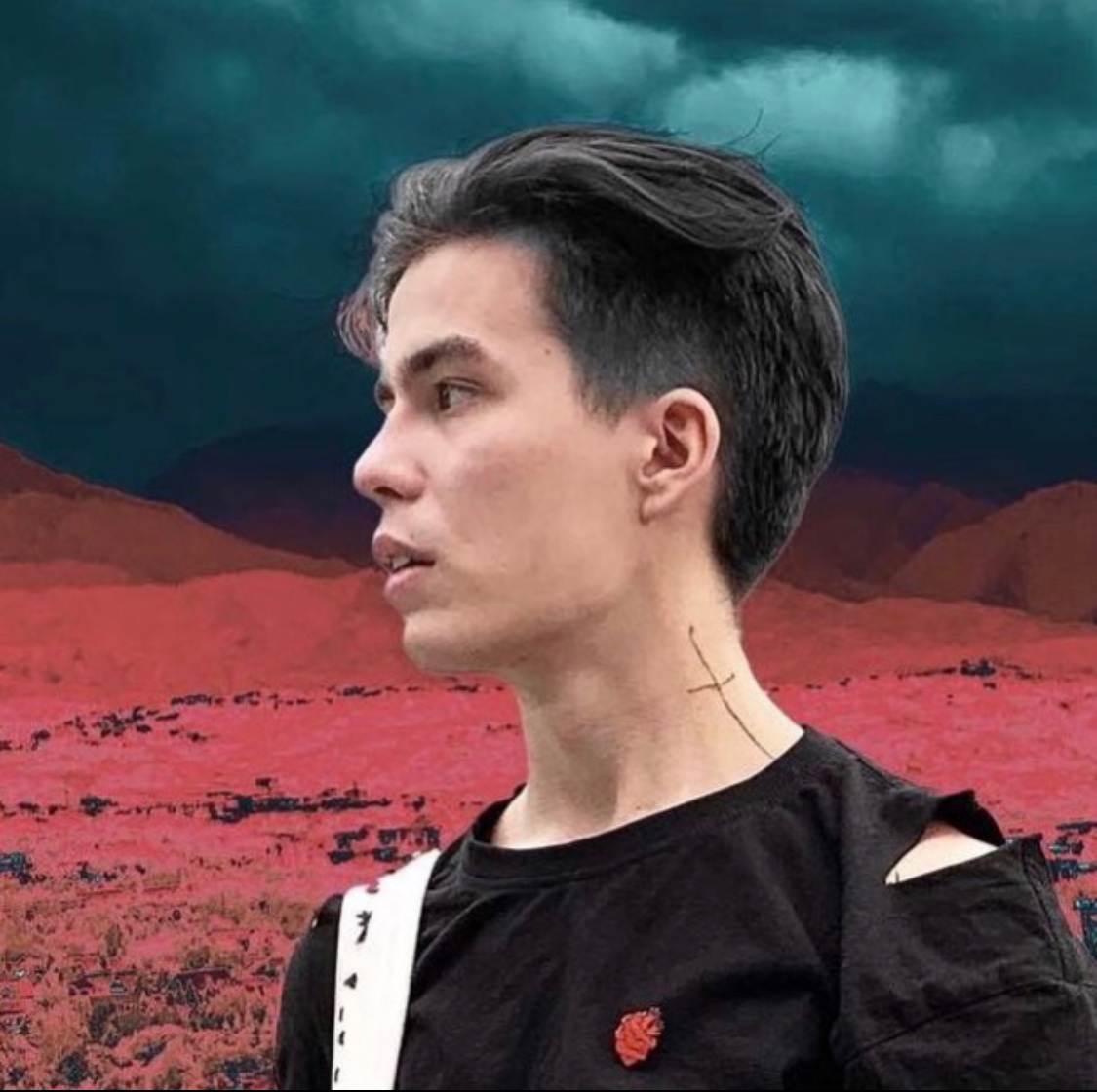 Tim (timsign.lens) Lens social identity (.lens handle) PFP