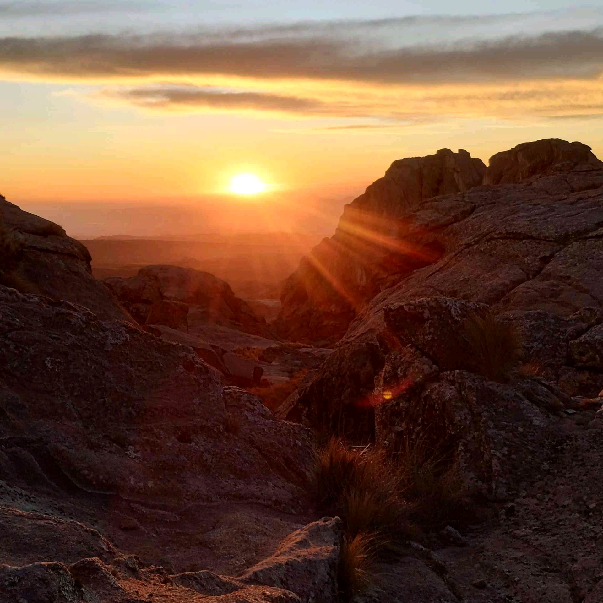 Matias (msramirez13.lens) Lens social identity (.lens handle) PFP