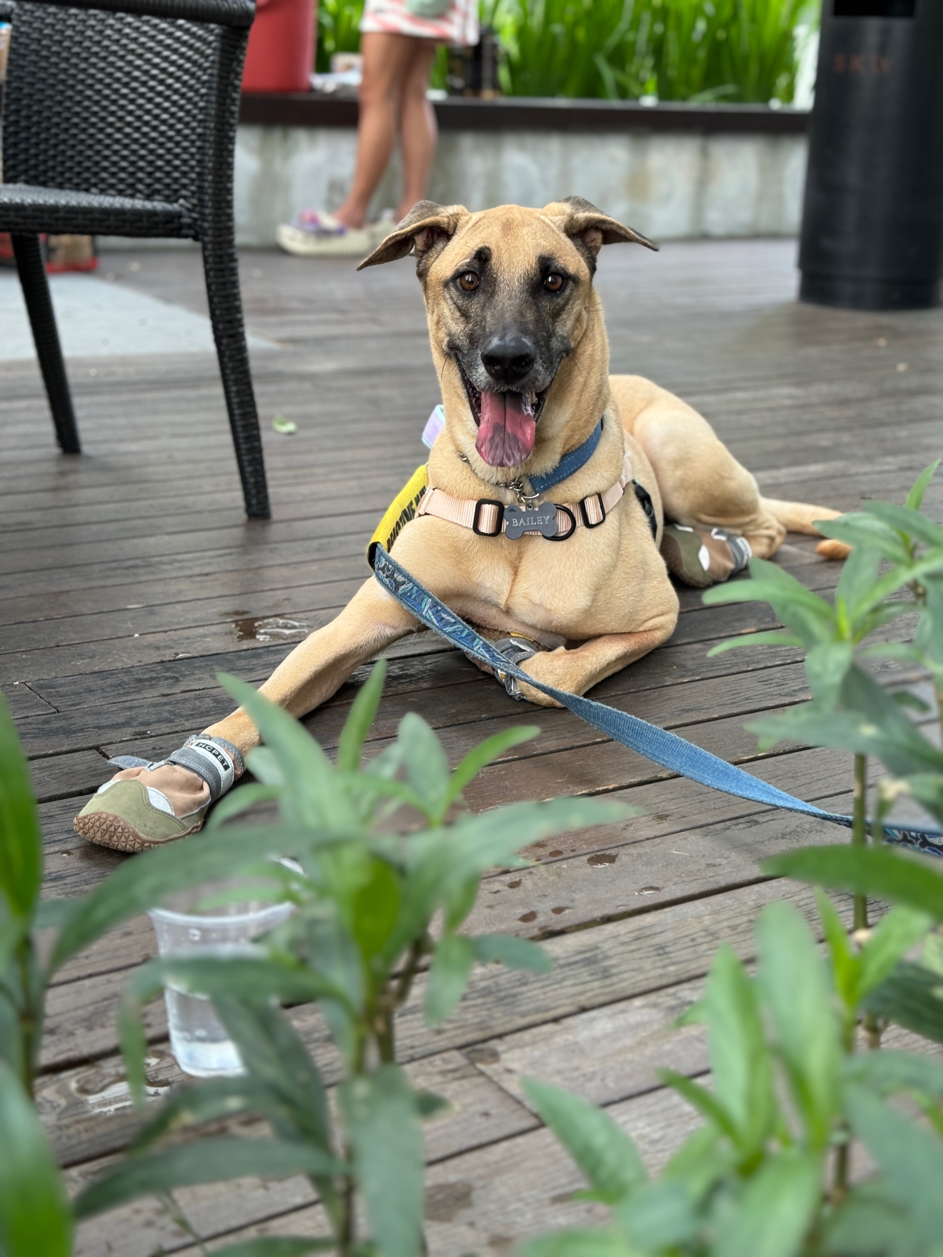 0xhoutty (0xjordentan.lens) Lens social identity (.lens handle) PFP