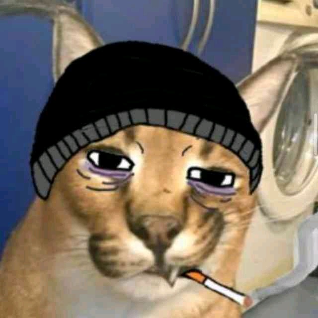 fbslo (fbslo.lens) Lens social identity (.lens handle) PFP