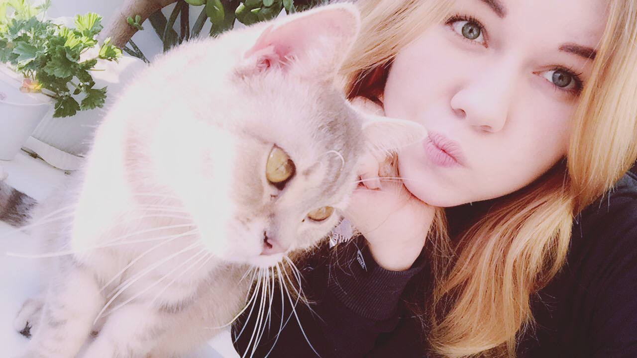 WayLens (waylens.lens) Lens social identity (.lens handle) PFP