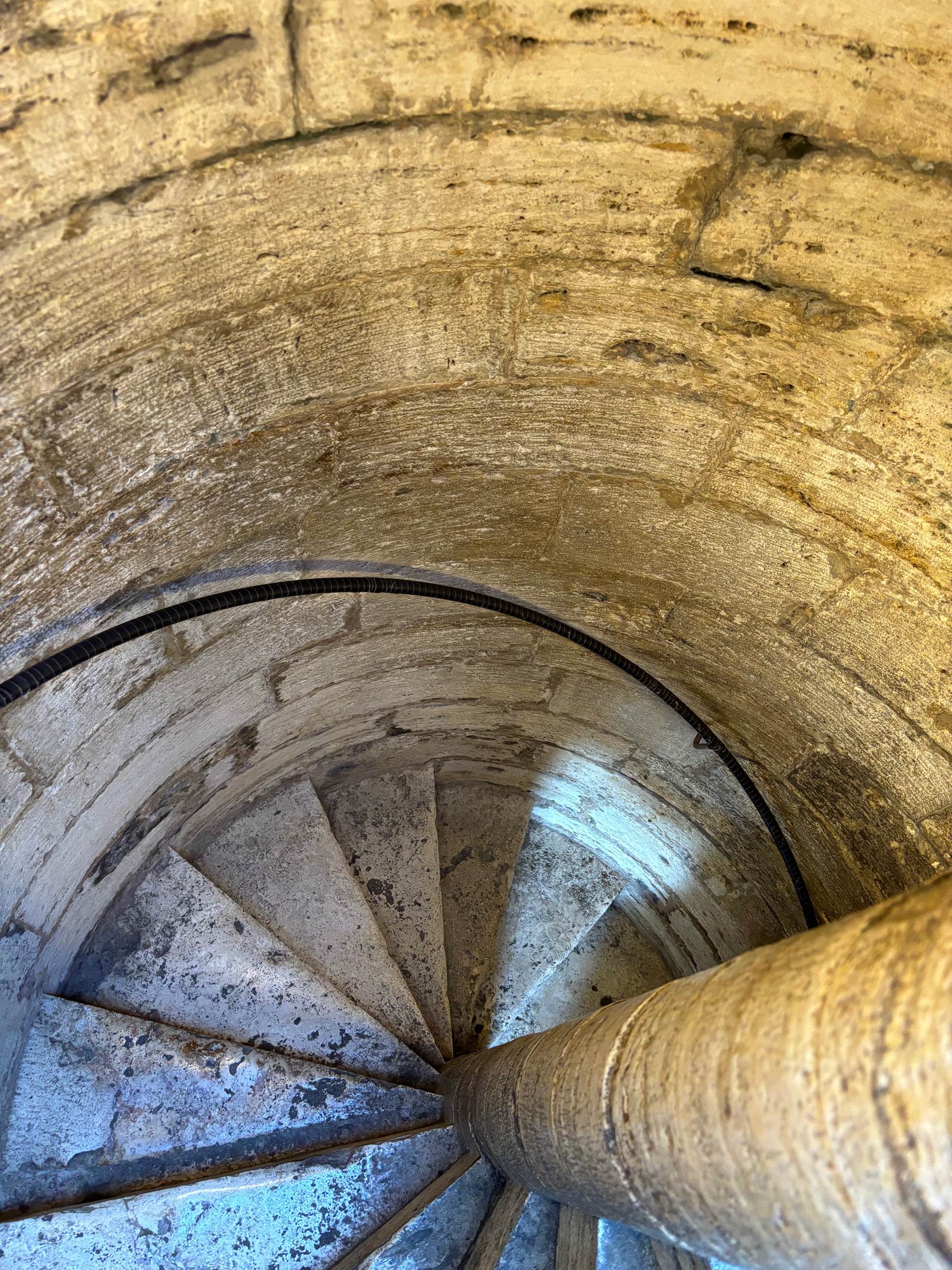 that witch in the woods (thatwitchinthewoods.lens) Lens social identity (.lens handle) PFP