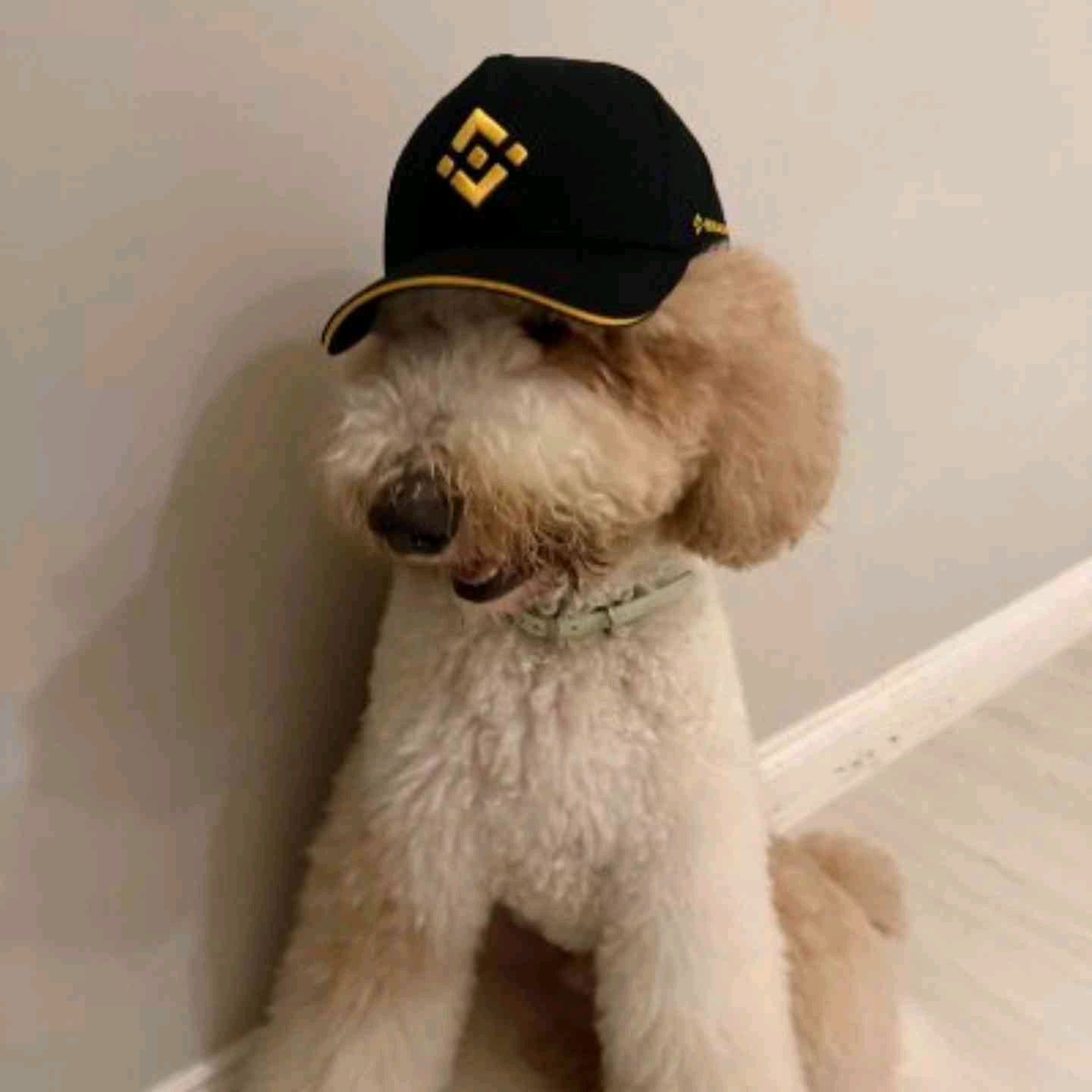 Rixki Aqbar (rizrekt.lens) Lens social identity (.lens handle) PFP