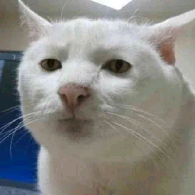 govern.lens Lens social identity (.lens handle) PFP