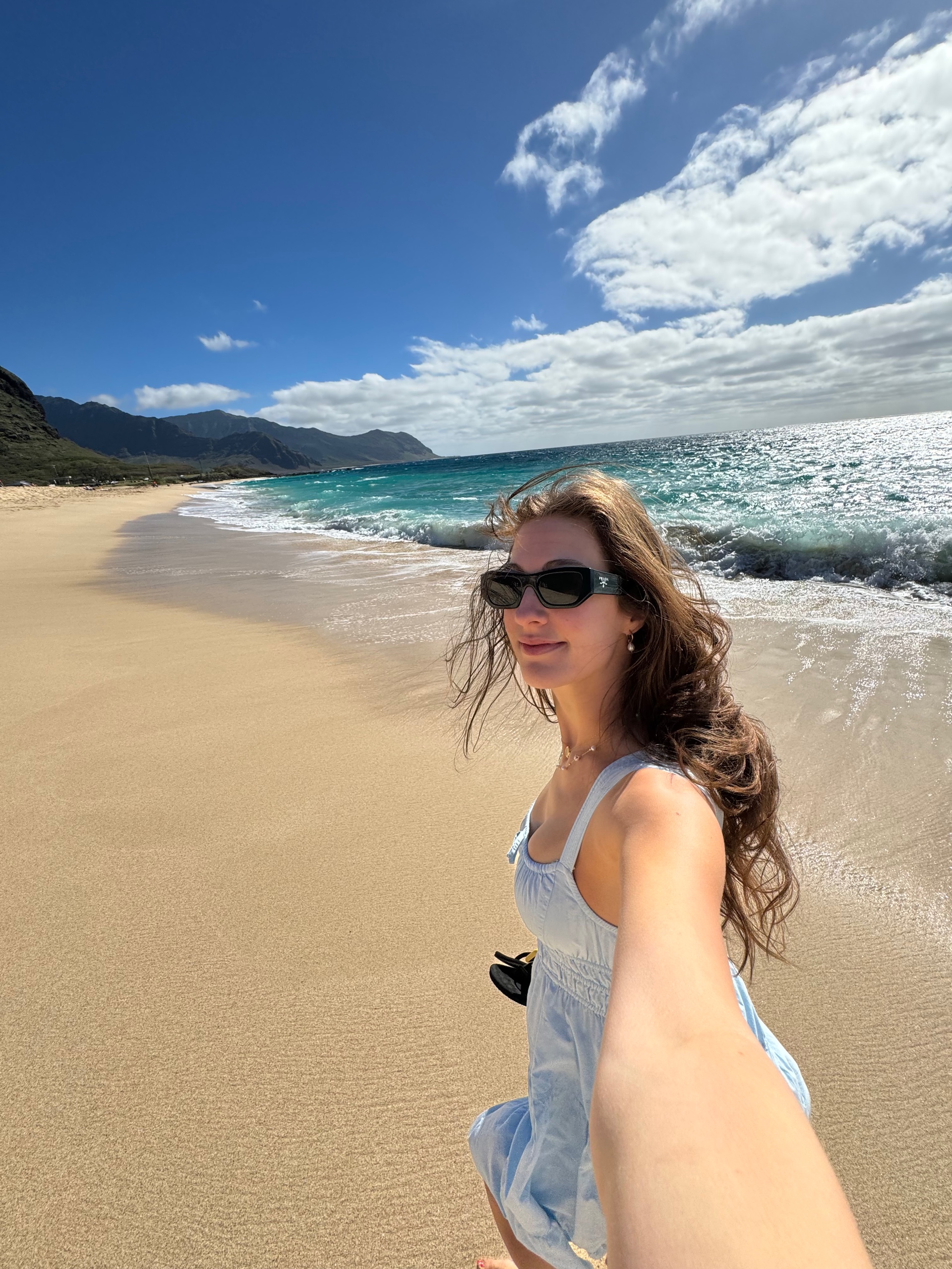 leichain (leichainn.lens) Lens social identity (.lens handle) PFP