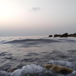 Zeeperizing (zeepr.lens) Lens social identity (.lens handle) PFP