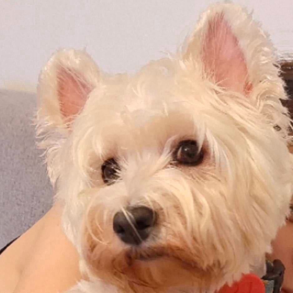 0xjackywang (jackywang.lens) Lens social identity (.lens handle) PFP