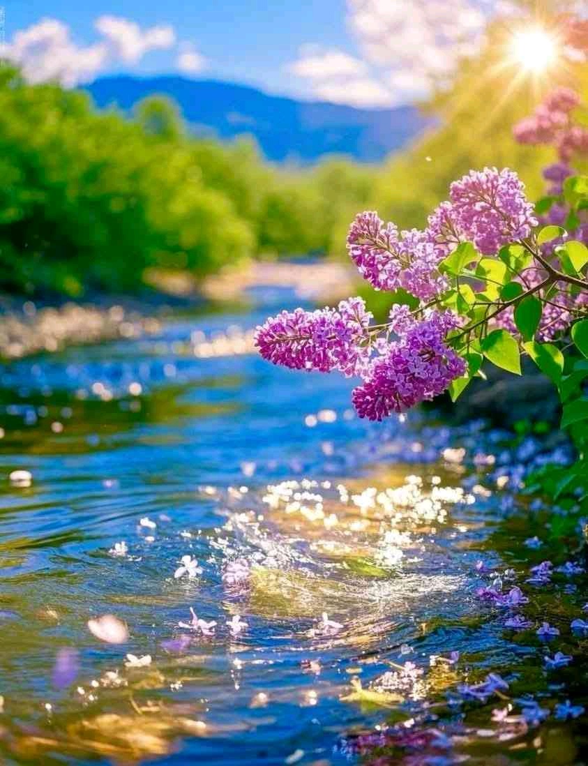 fayej (fayej.lens) Lens social identity (.lens handle) PFP