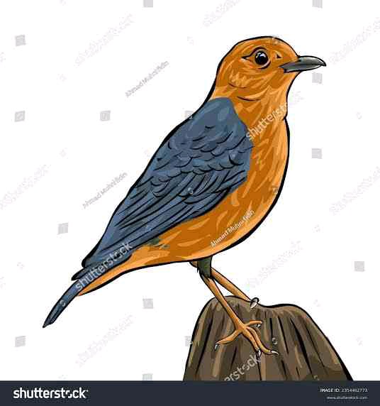 muhajir91.lens Lens social identity (.lens handle) PFP