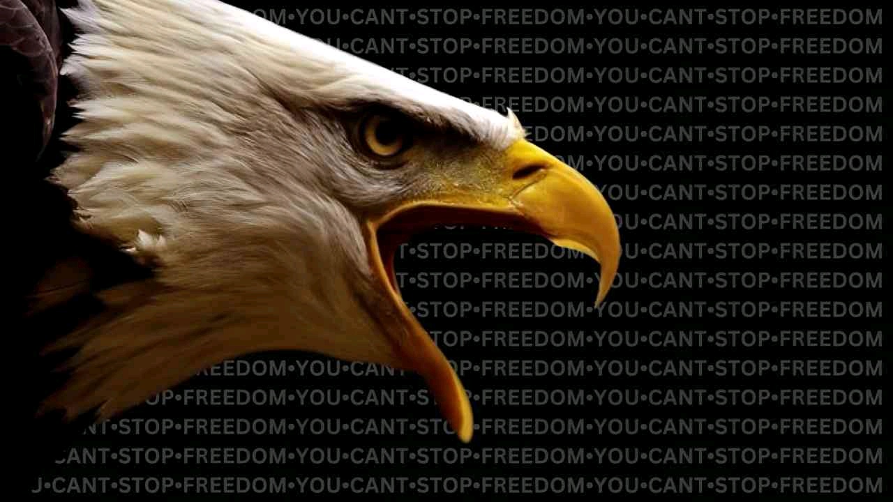 Mubarak (cheatworld.lens) Lens social identity (.lens handle) PFP