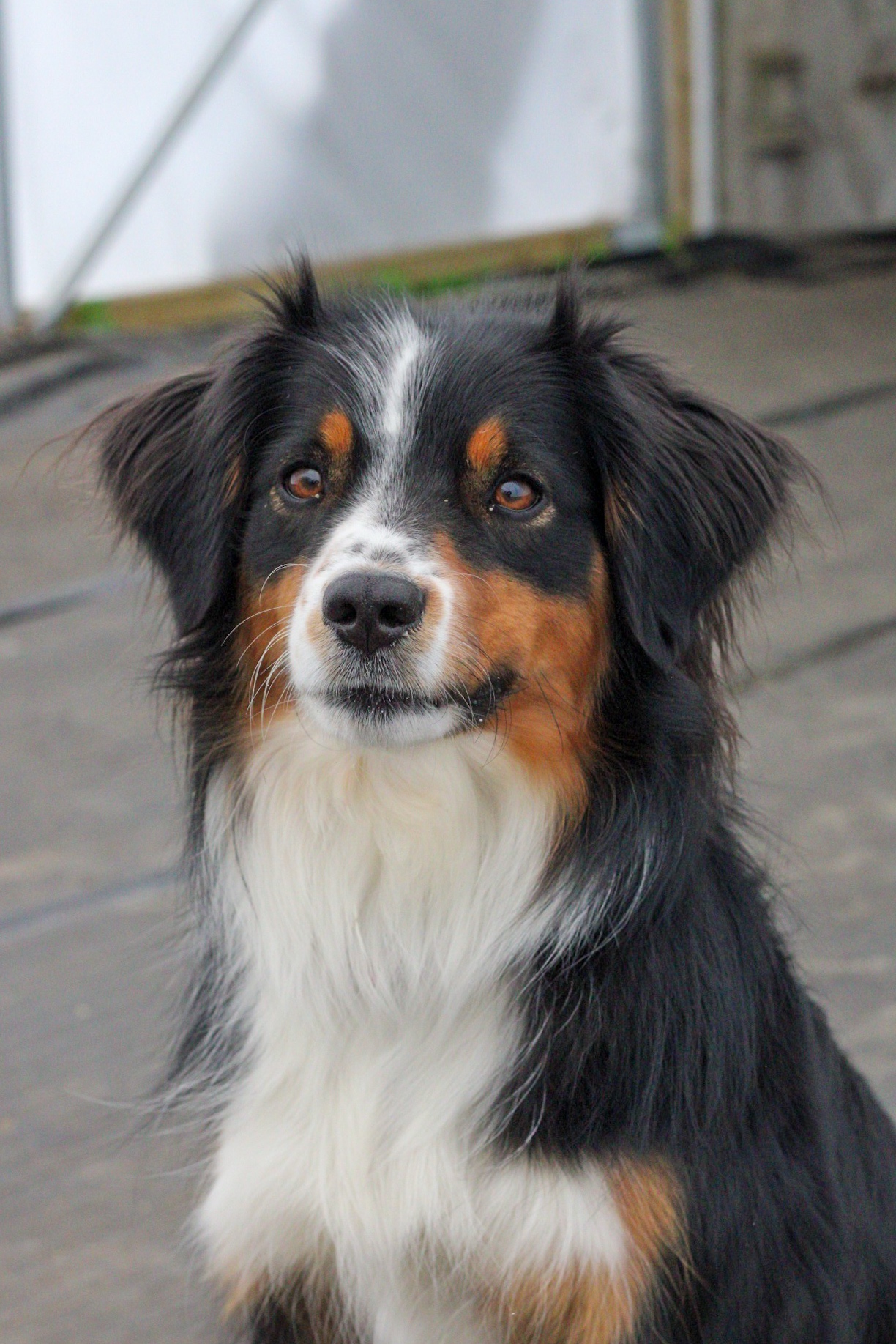 FJ (hefgi.lens) Lens social identity (.lens handle) PFP