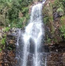 jyodaya.lens Lens social identity (.lens handle) PFP