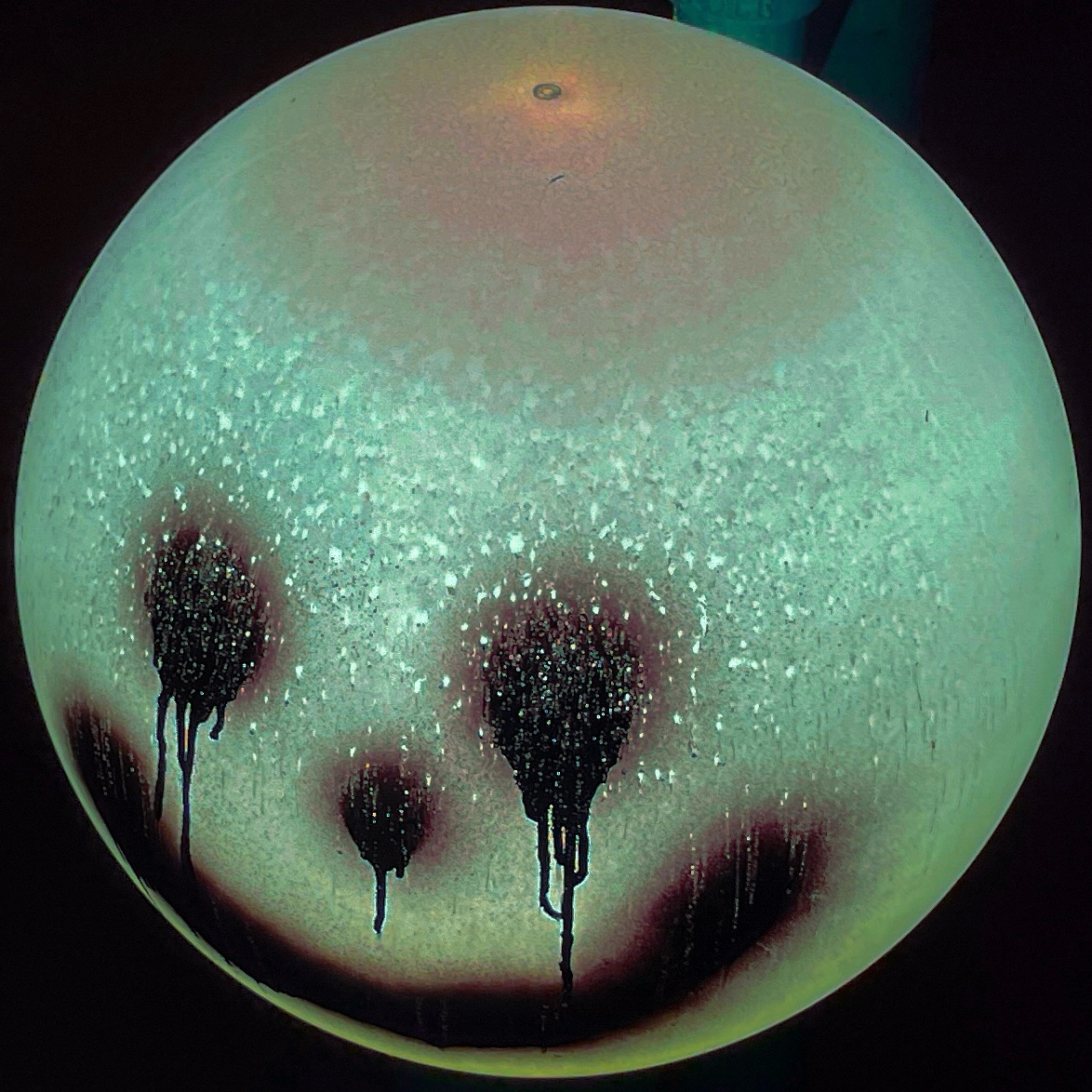 Echoes of Eidolon (echoesofeidolon.lens) Lens social identity (.lens handle) PFP