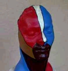 pinerox (pinerox.lens) Lens social identity (.lens handle) PFP