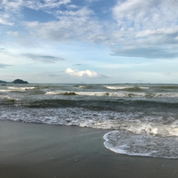 artevalor (artprice.lens) Lens social identity (.lens handle) PFP