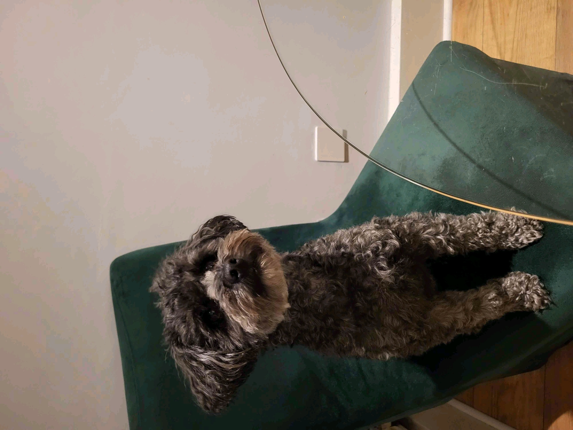 frostythesnowman (frostythesnowman.lens) Lens social identity (.lens handle) PFP